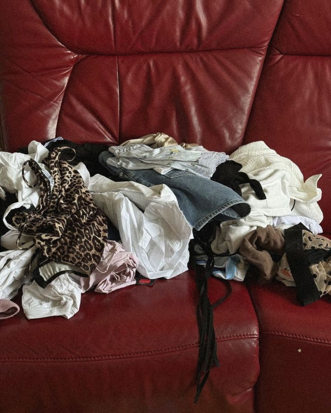 Coleccion Capsula 002